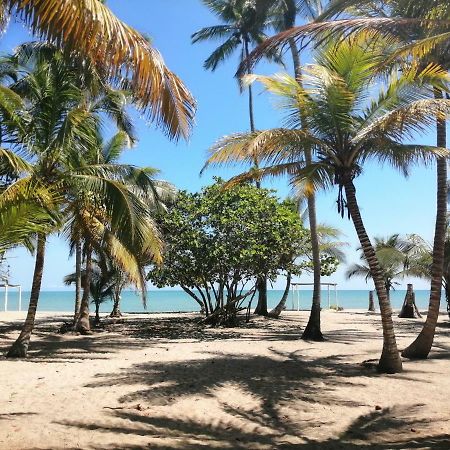 Hotel Playa Mandala Palomino Exteriér fotografie