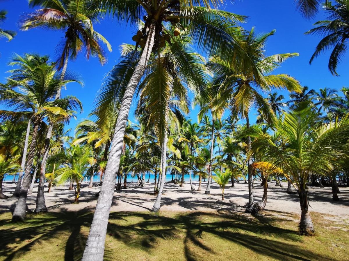 Hotel Playa Mandala Palomino Exteriér fotografie