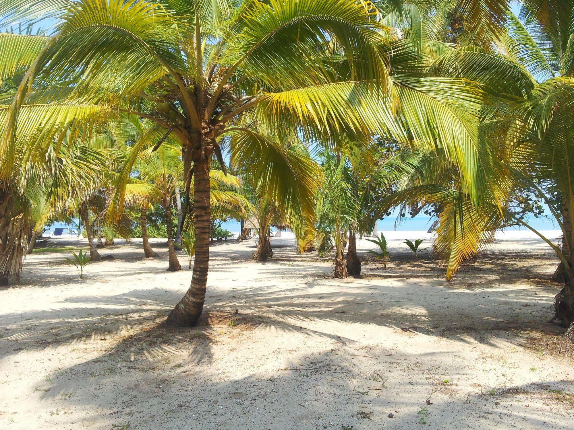 Hotel Playa Mandala Palomino Exteriér fotografie