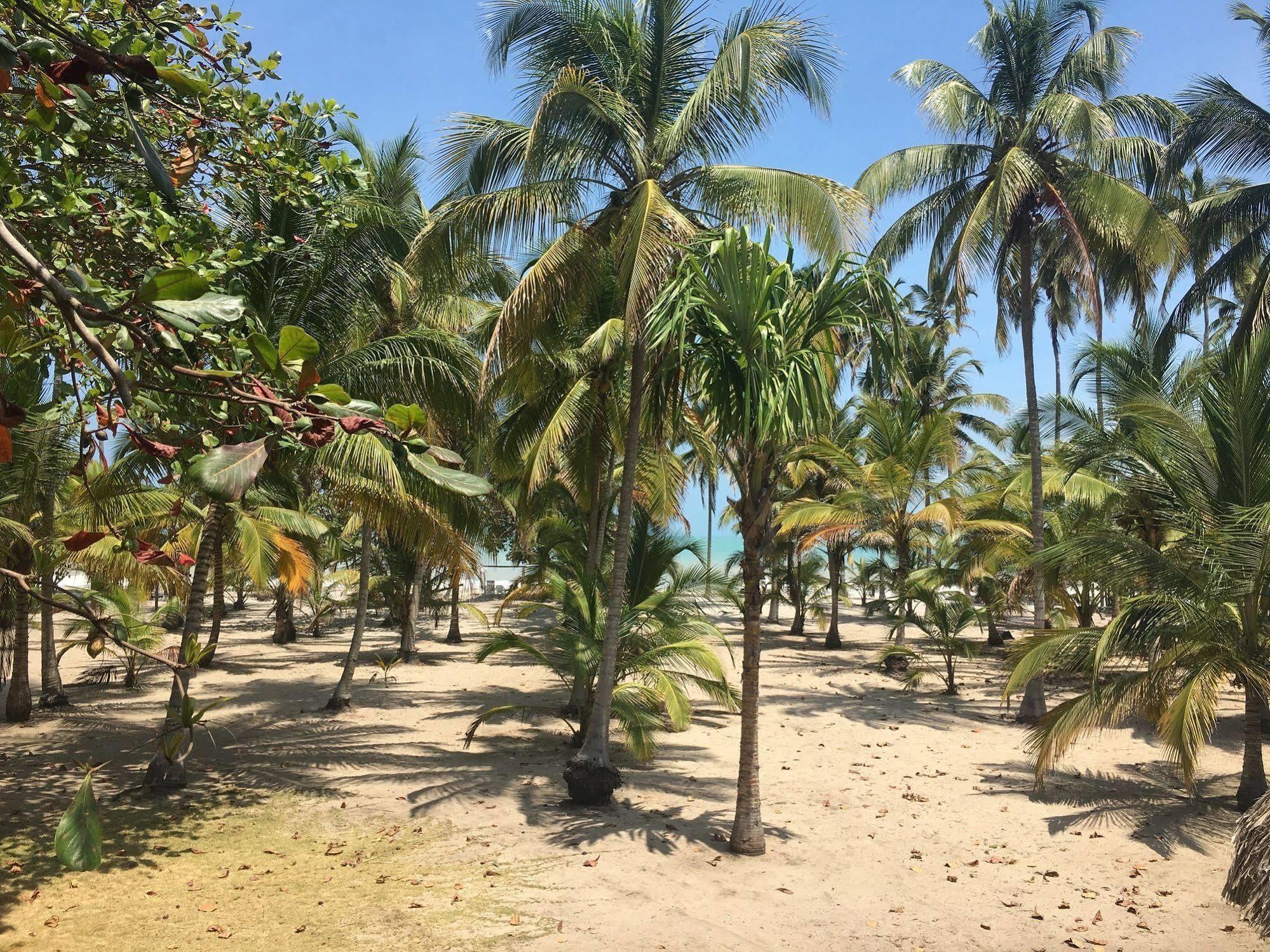 Hotel Playa Mandala Palomino Exteriér fotografie